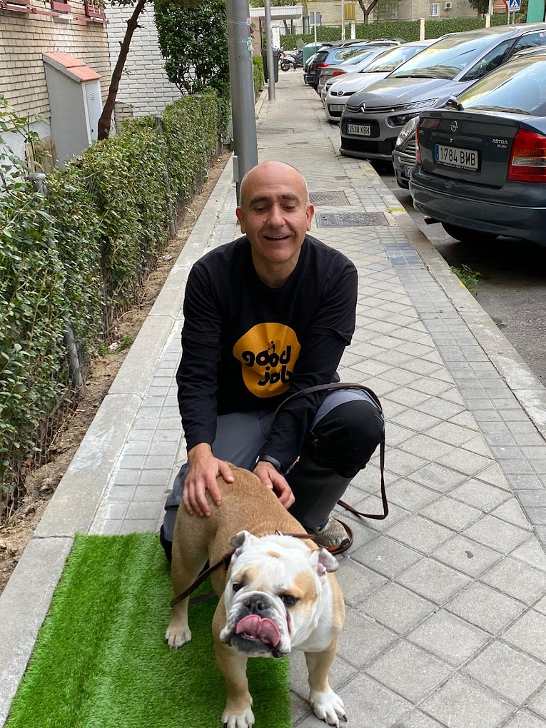 Adiestramiento Good Job 8