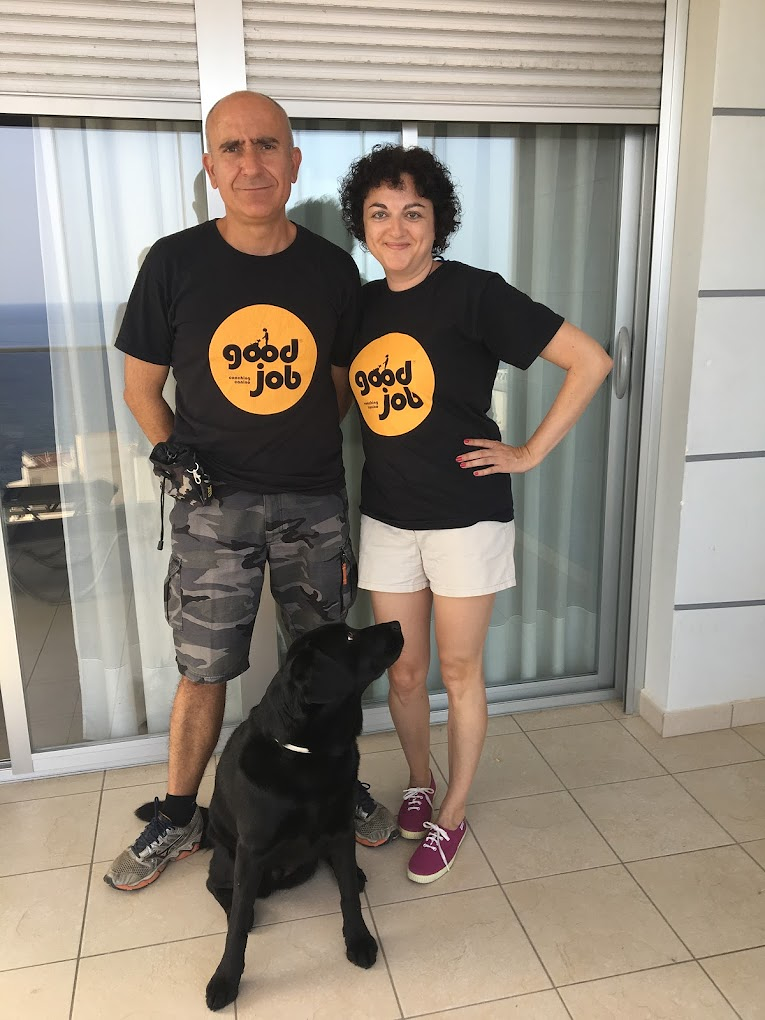 Adiestramiento Good Job 6