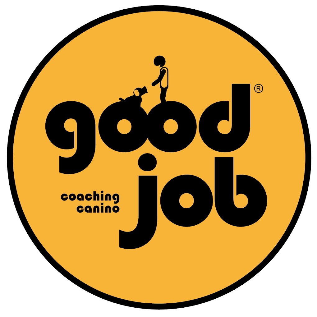 Adiestramiento Good Job