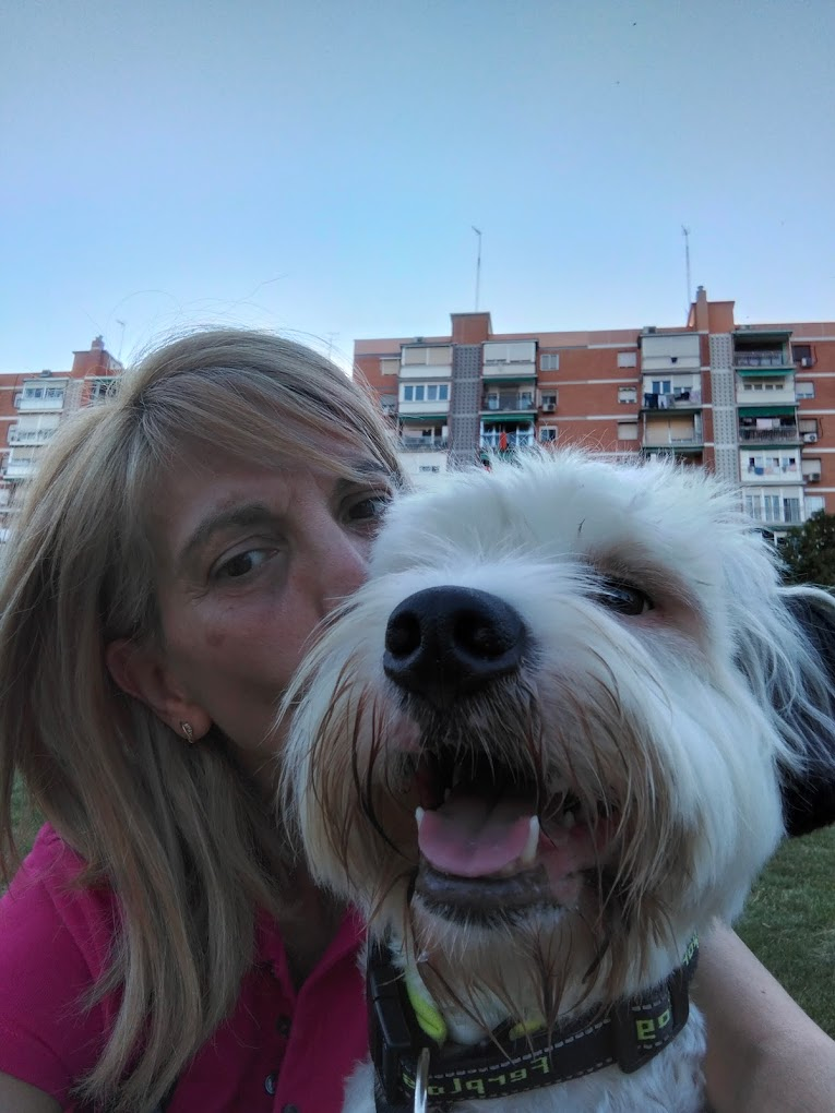 Adiestramiento Good Job 10