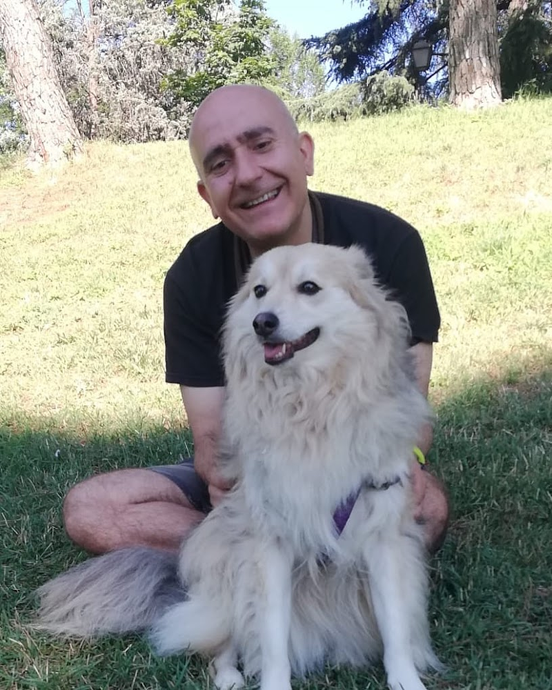 Adiestramiento Good Job 4