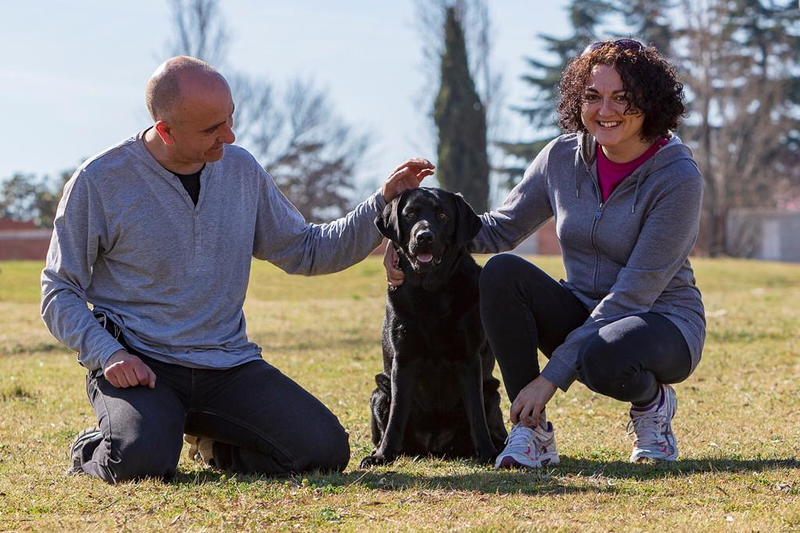 Adiestramiento Good Job 11