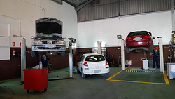 Galería de imágenes