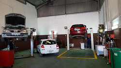 Galería de imágenes