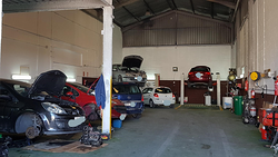 Galería de imágenes