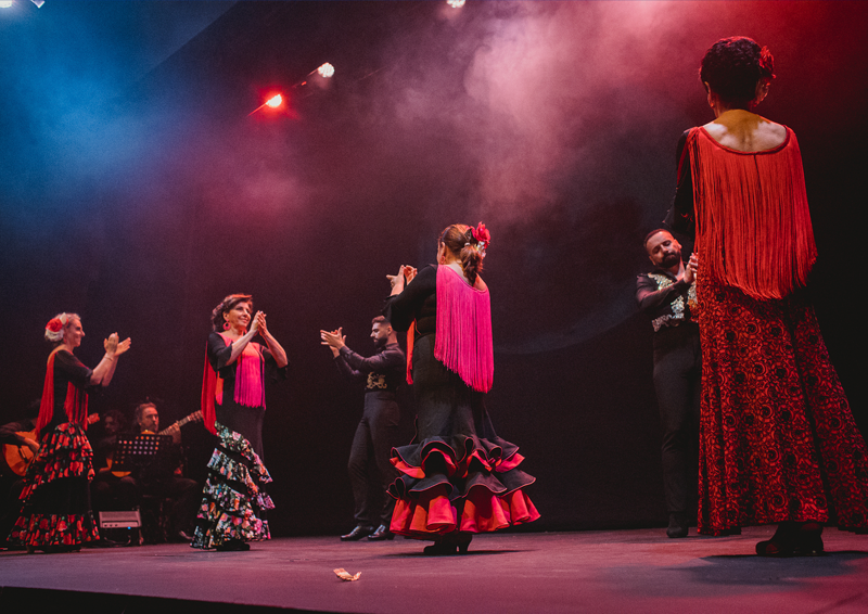 Centro De Flamenco Y Danza El Lucero 16