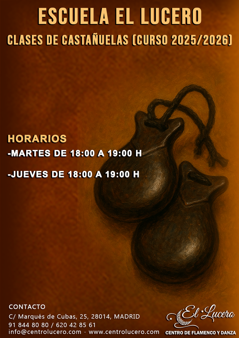 Centro De Flamenco Y Danza El Lucero 5