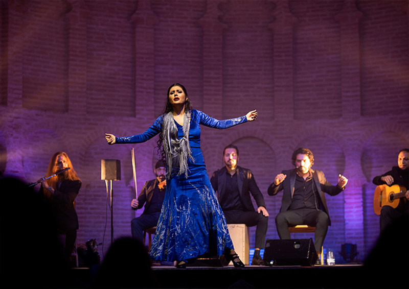 Centro De Flamenco Y Danza El Lucero 18