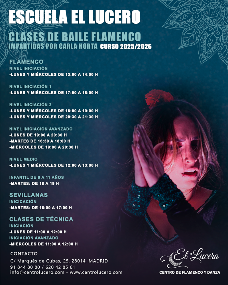 Centro De Flamenco Y Danza El Lucero 4