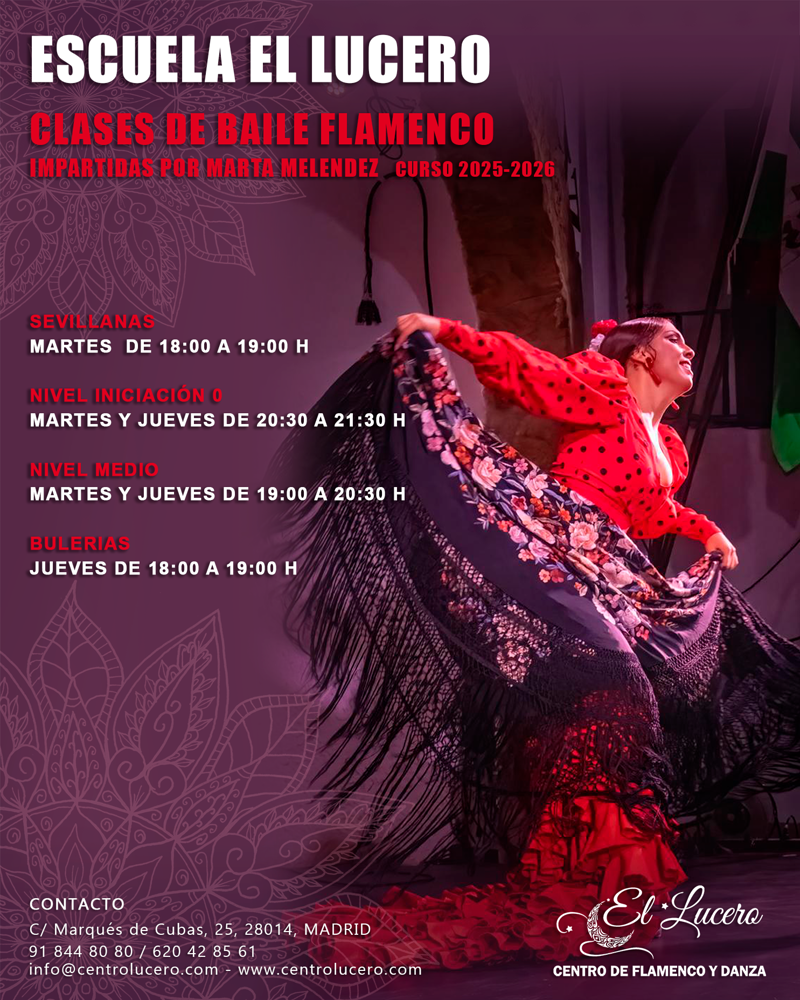Centro De Flamenco Y Danza El Lucero 3