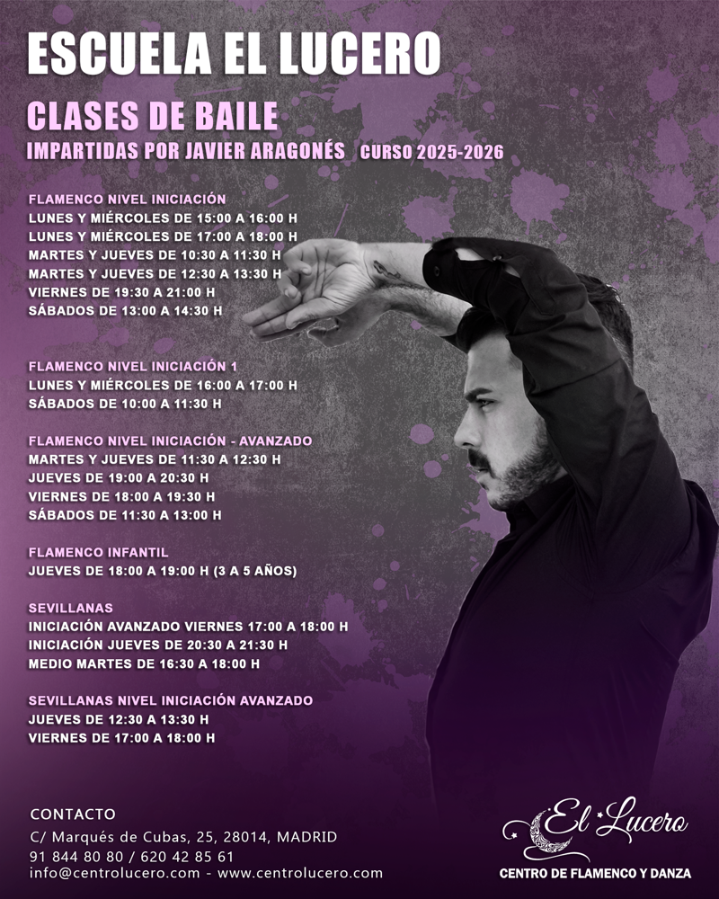 Centro De Flamenco Y Danza El Lucero Madrid