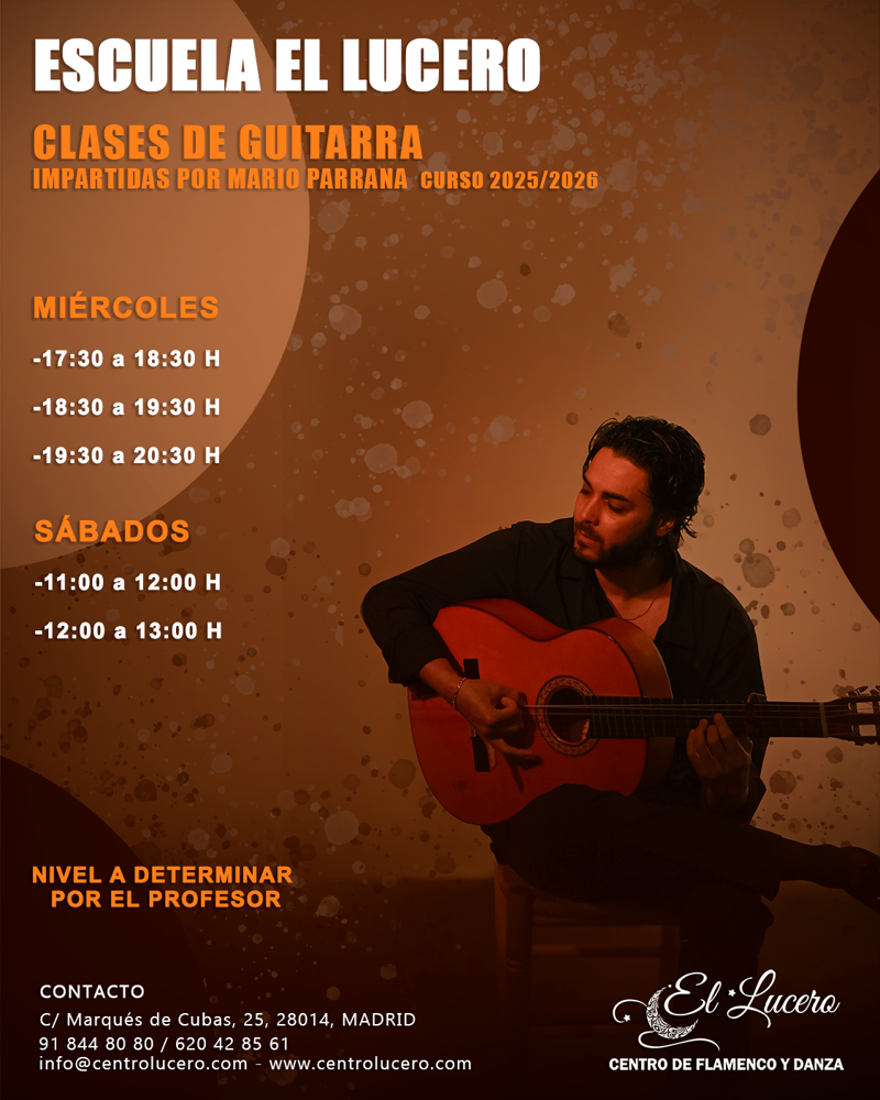 Centro De Flamenco Y Danza El Lucero 7