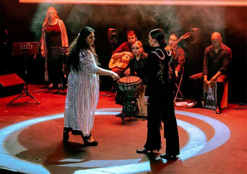 Centro De Flamenco Y Danza El Lucero 20