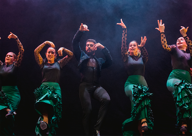 Centro De Flamenco Y Danza El Lucero 19