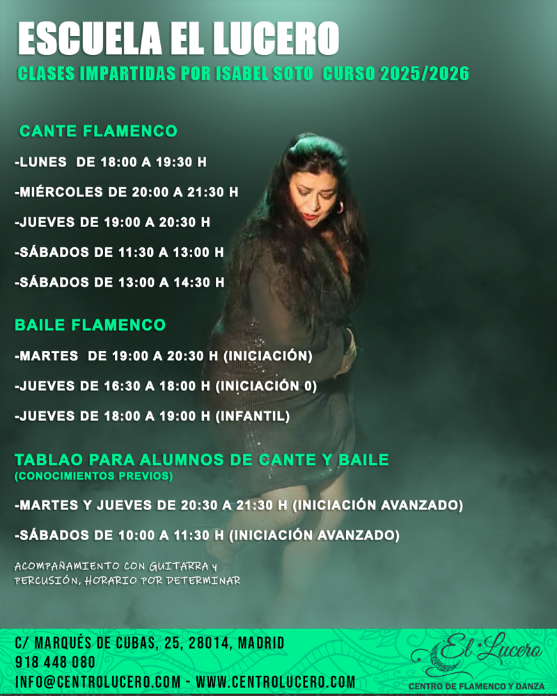 Centro De Flamenco Y Danza El Lucero 6