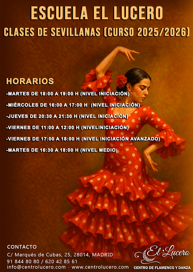 Centro De Flamenco Y Danza El Lucero 9