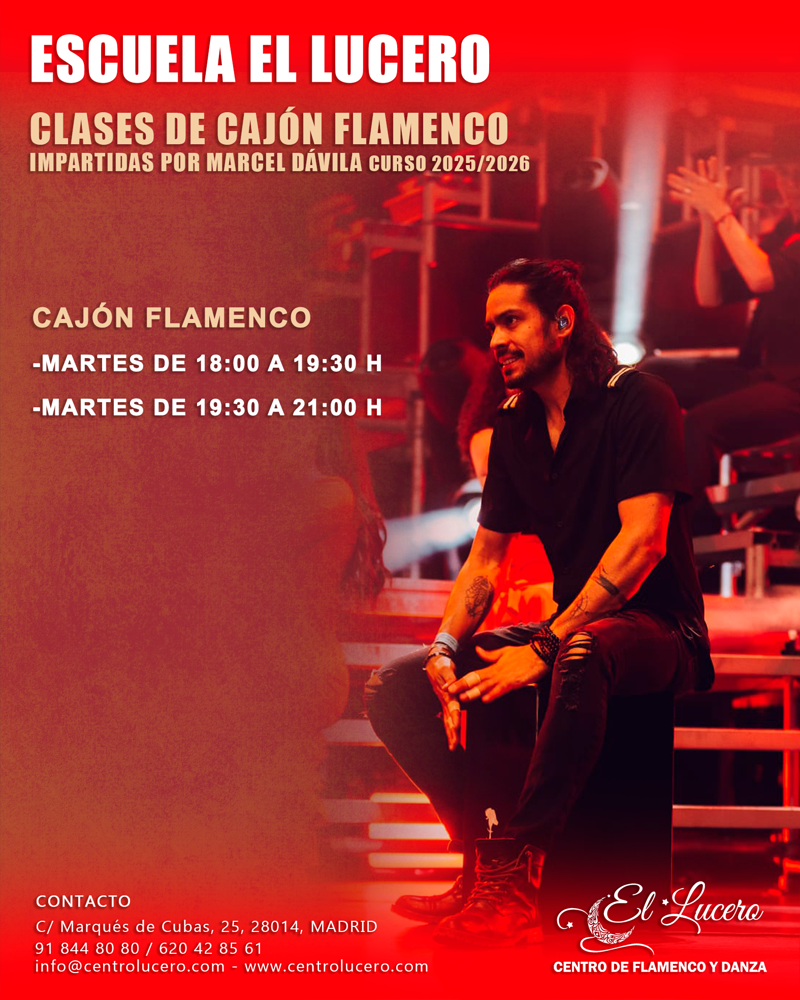Centro De Flamenco Y Danza El Lucero 2
