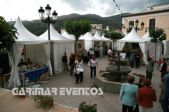 Carpas Garimar Eventos 8