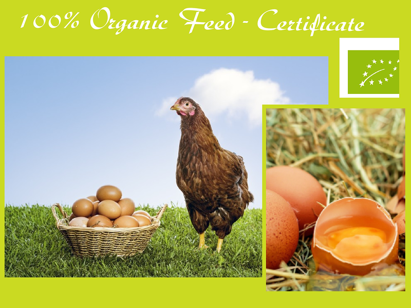 Piensos La Lonja Elx/Elche