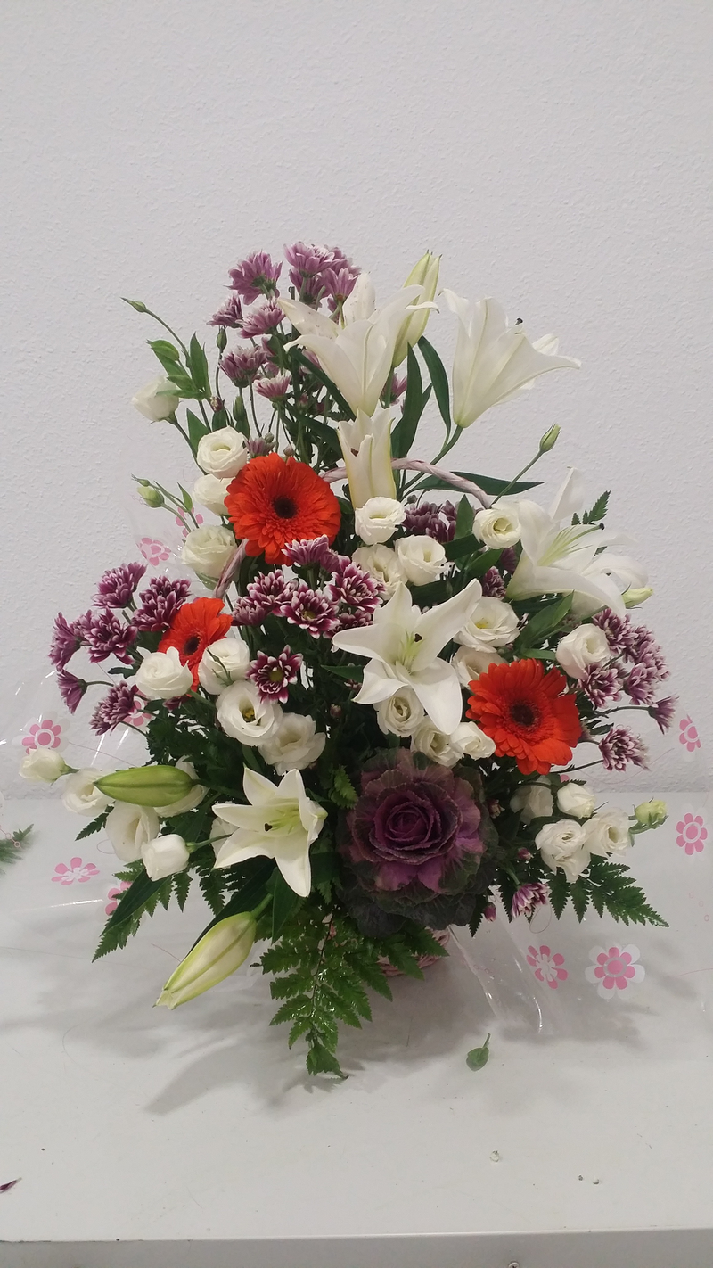 Francis Florister&iacute;a 23