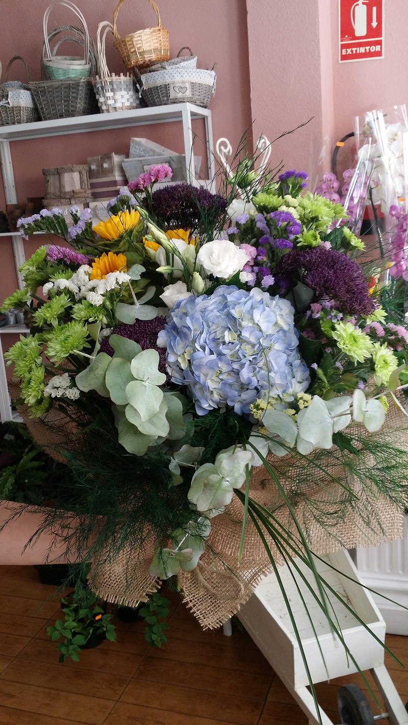 Francis Florister&iacute;a 31