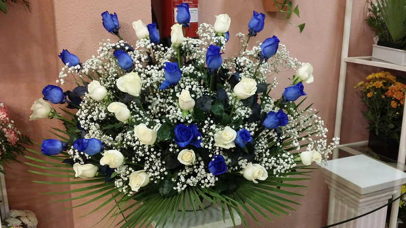 Francis Florister&iacute;a 24