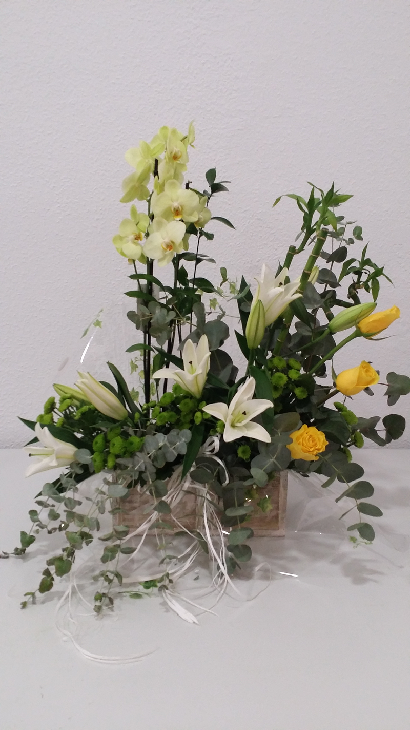 Francis Florister&iacute;a 28