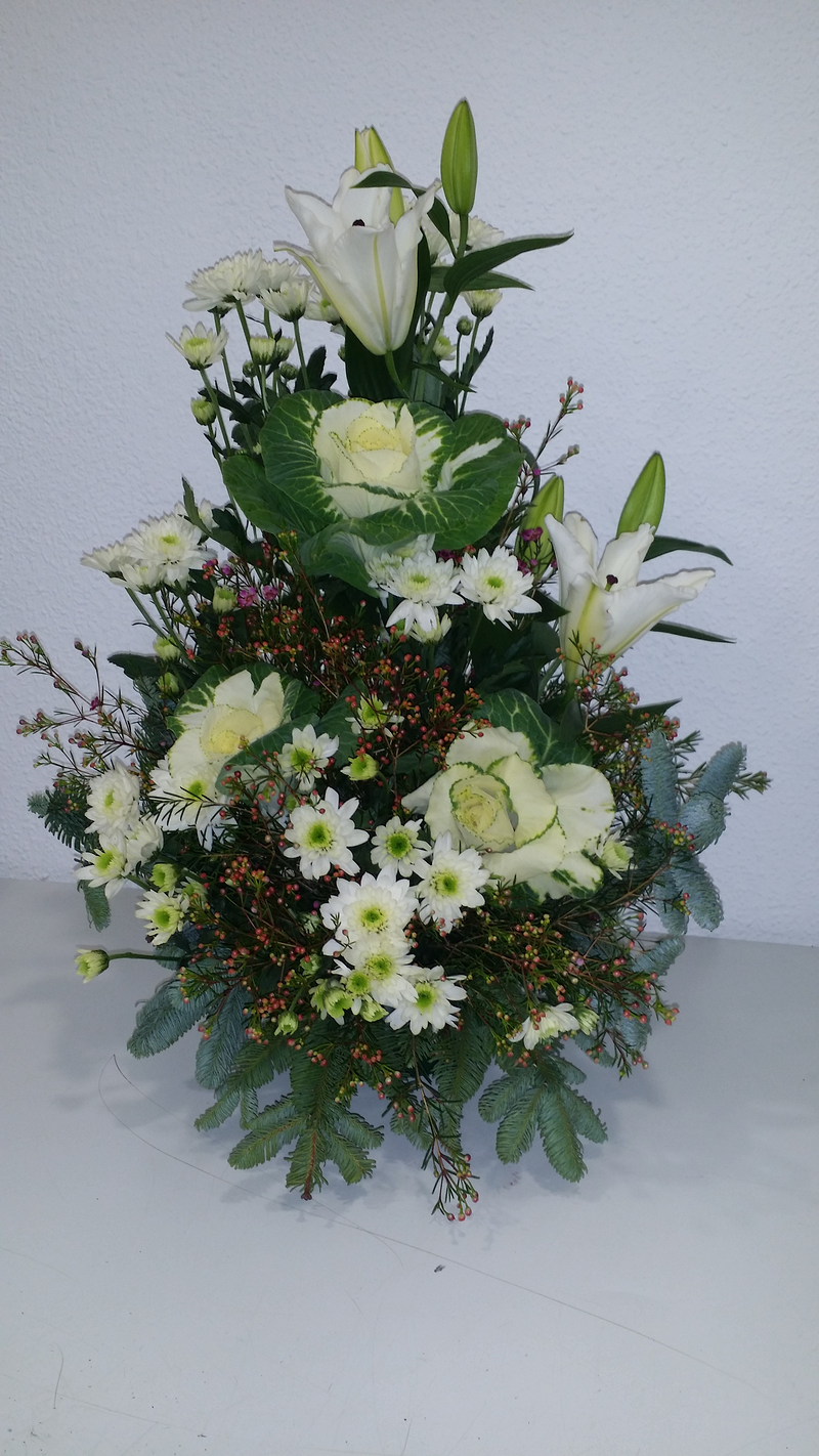 Francis Florister&iacute;a 17