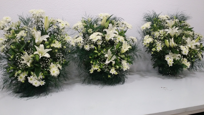 Francis Florister&iacute;a 8