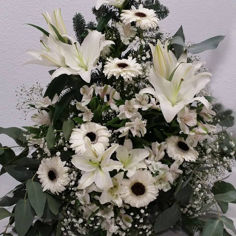 Francis Florister&iacute;a 2