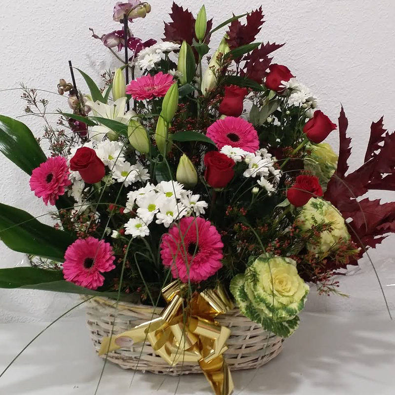 Francis Florister&iacute;a FLORISTERIAS