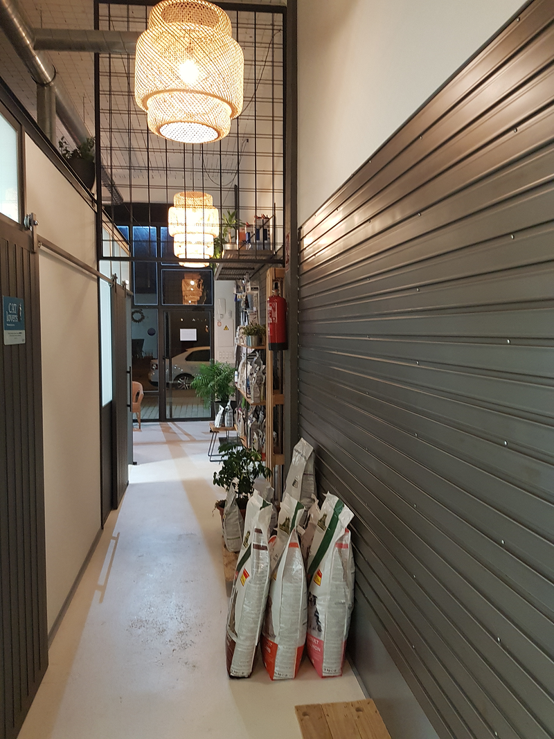 Club Veterinario Salamanca 7