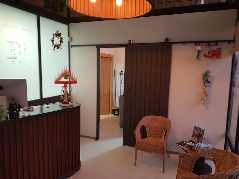 Club Veterinario Salamanca 3