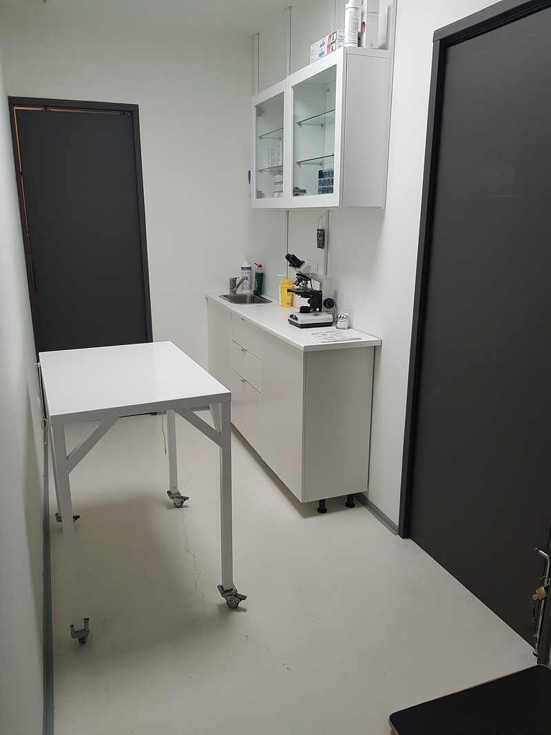 Club Veterinario Salamanca 5