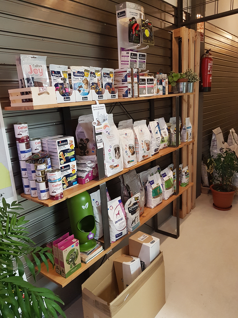 Club Veterinario Salamanca 8