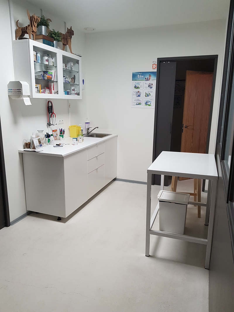 Club Veterinario Salamanca 6