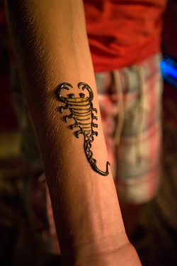 Galería de imágenes