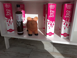 Galería de imágenes