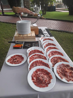 Galería de imágenes