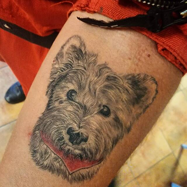 The Ghost Drakkar Tattoo Studio 6