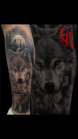 Galería de imágenes