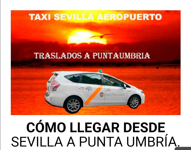 Sevilla Aeropuerto TAXIS: SERVICIOS Y PARADAS
