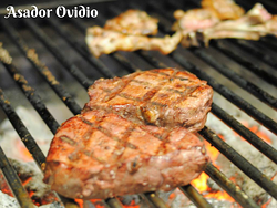 Asador Ovidio ASADORES Asador Ovidio ASADORES