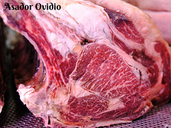 Asador Ovidio 2 Asador Ovidio 2