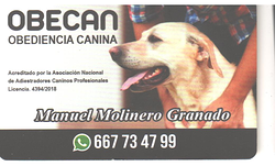 Galería de imágenes