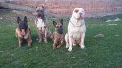 Galería de imágenes