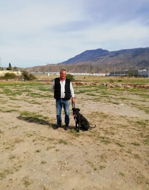 Adiestramiento Canino - Obecan 4