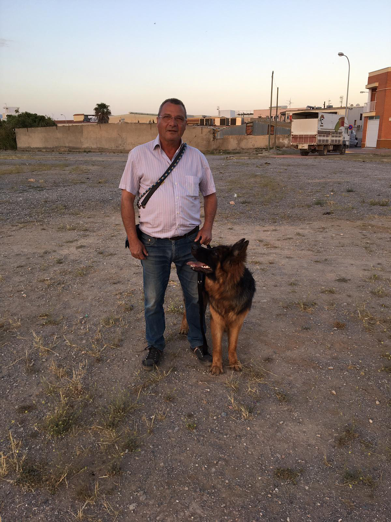 Adiestramiento Canino - Obecan 7