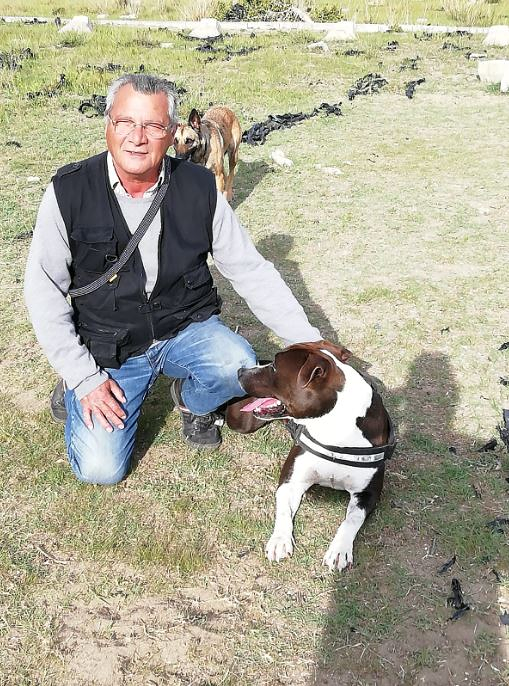 Adiestramiento Canino - Obecan 5