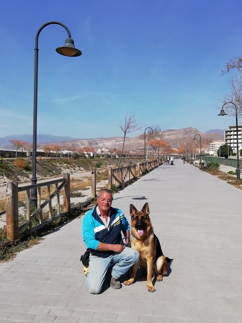 Adiestramiento Canino - Obecan El Ejido